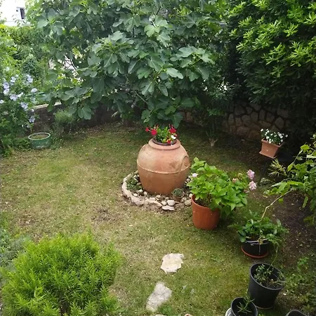 Seka * Kraljevica