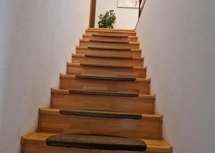 Seka * Kraljevica
